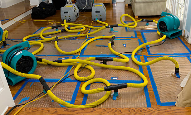 Professional Sewage Cleanup technician working in Powell Butte, OR